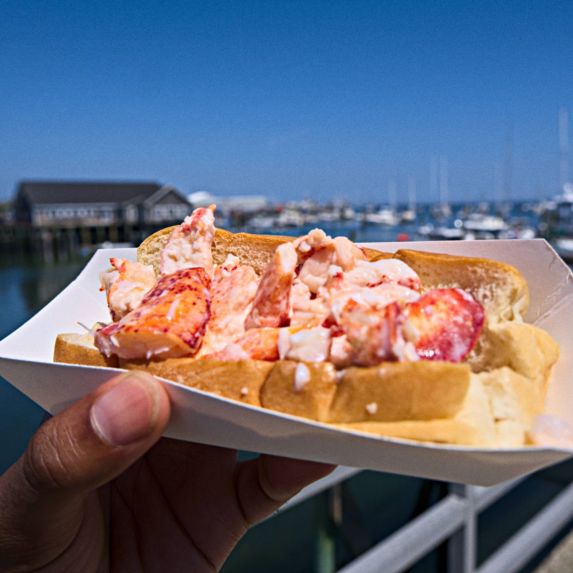 Lobster Roll